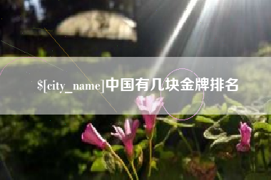 潍坊中国有几块金牌排名