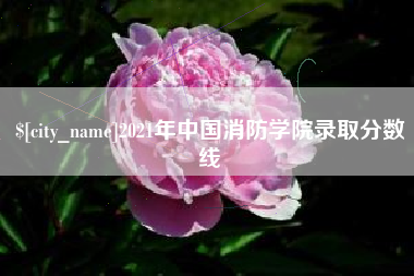 潍坊2021年中国消防学院录取分数线
