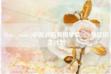 潍坊中国消防救援学院2020浙江招生计划