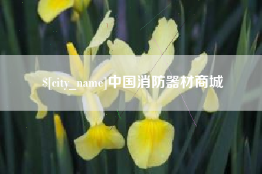 潍坊中国消防器材商城