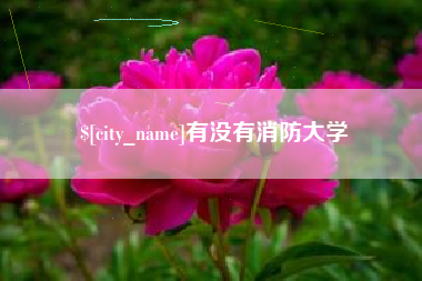 潍坊有没有消防大学