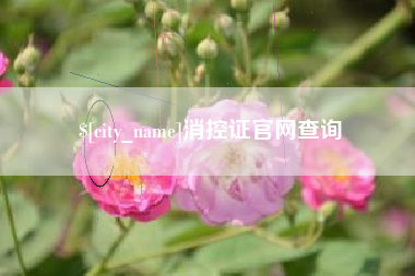 潍坊消控证官网查询
