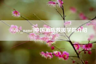 潍坊中国消防救援学院介绍