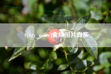 潍坊金牌图片真实