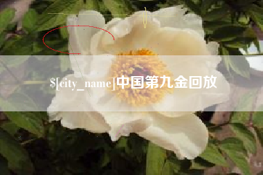 潍坊中国第九金回放