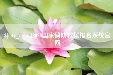 潍坊2020国家消防救援报名系统官网
