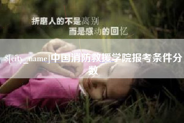 潍坊中国消防救援学院报考条件分数