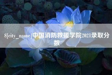 潍坊中国消防救援学院2021录取分数