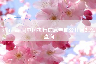 潍坊中国执行信息查询公开网怎么查询