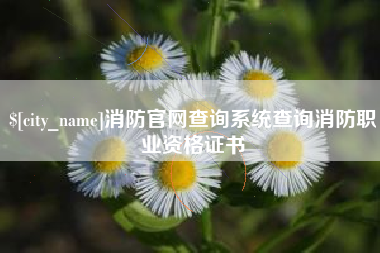 潍坊消防官网查询系统查询消防职业资格证书