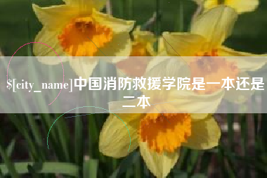 潍坊中国消防救援学院是一本还是二本