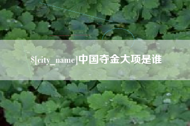 潍坊中国夺金大项是谁