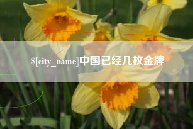 潍坊中国已经几枚金牌