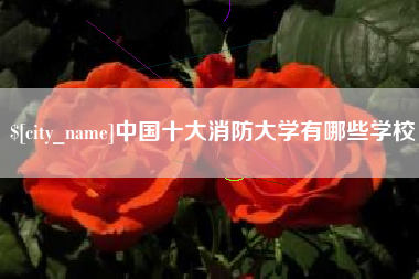 潍坊中国十大消防大学有哪些学校