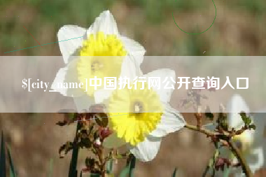 潍坊中国执行网公开查询入口