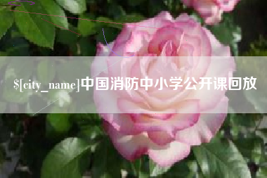 潍坊中国消防中小学公开课回放