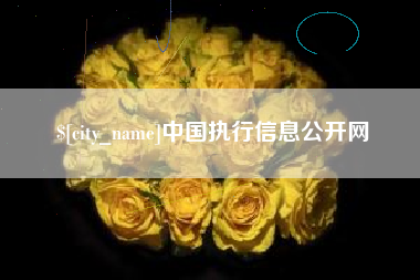 潍坊中国执行信息公开网