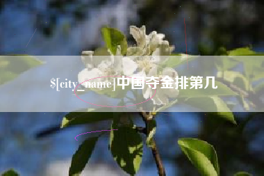 潍坊中国夺金排第几