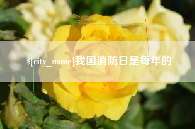 潍坊我国消防日是每年的