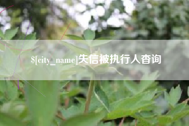潍坊失信被执行人杳询