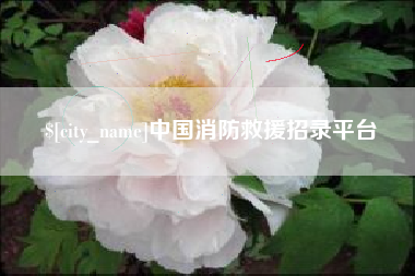 潍坊中国消防救援招录平台