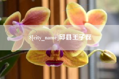 潍坊邱县王子磊