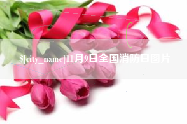 潍坊11月9日全国消防日图片