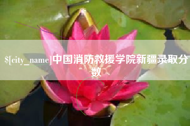 潍坊中国消防救援学院新疆录取分数