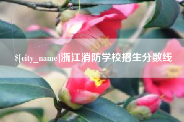 潍坊浙江消防学校招生分数线