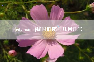 潍坊我国消防日几月几号