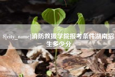 潍坊消防救援学院报考条件湖南招生多少分
