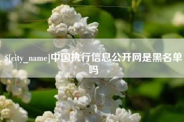 潍坊中国执行信息公开网是黑名单吗