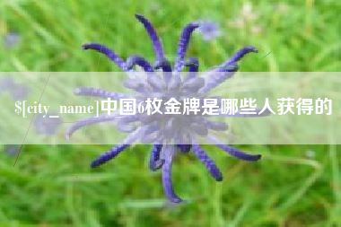 潍坊中国6枚金牌是哪些人获得的