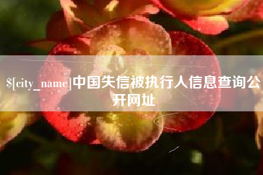 潍坊中国失信被执行人信息查询公开网址