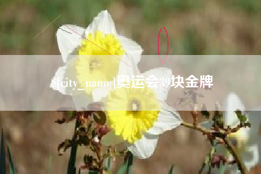潍坊奥运会39块金牌