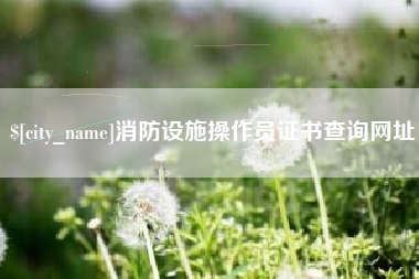 潍坊消防设施操作员证书查询网址