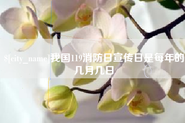 潍坊我国119消防日宣传日是每年的几月几日