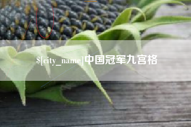 潍坊中国冠军九宫格