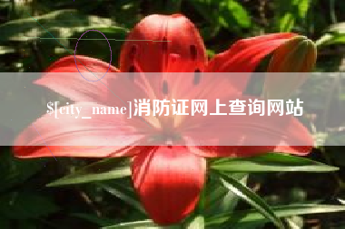 潍坊消防证网上查询网站