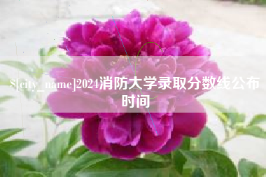 潍坊2024消防大学录取分数线公布时间