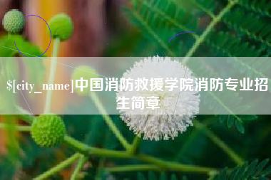 潍坊中国消防救援学院消防专业招生简章