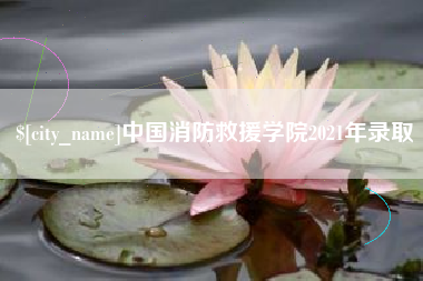 潍坊中国消防救援学院2021年录取