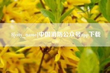 潍坊中国消防公众号app下载