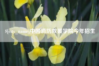 潍坊中国消防救援学院今年招生