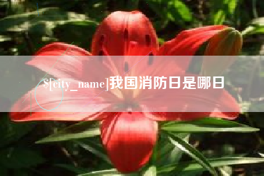 潍坊我国消防日是哪日