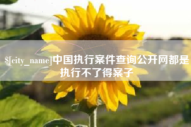 潍坊中国执行案件查询公开网都是执行不了得案子
