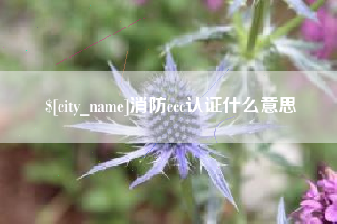 潍坊消防ccc认证什么意思