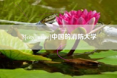 潍坊中国的消防大学