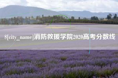 潍坊消防救援学院2020高考分数线