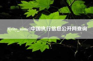 潍坊中国执行信息公开网查询
